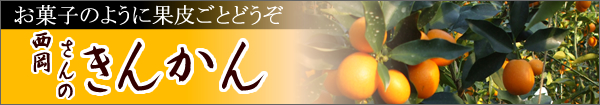 �ⴻ�ʤ��󤫤������