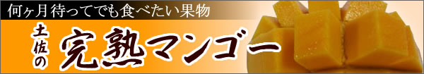 �ޥ󥴡����̿�����