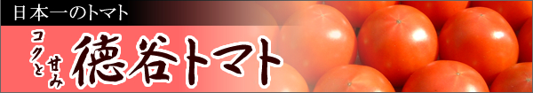 ��ë�ȥޥ�