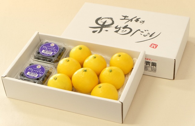 小夏＆ブルーベリー