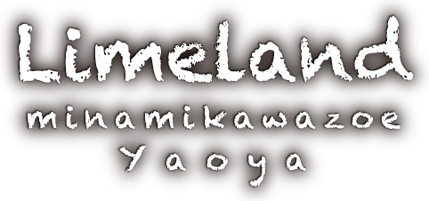 ライムランドロゴ02
