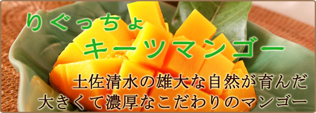 りぐっちょキーツマンゴーの通販