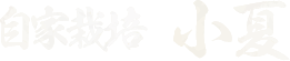 自家栽培小夏