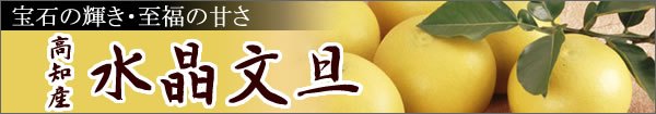 水晶文旦の通販